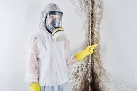 Biohazard Mold Removal in Lewistown, MT